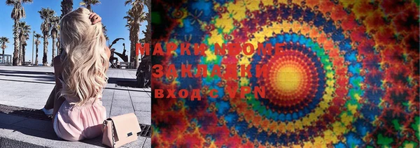 индика Елабуга