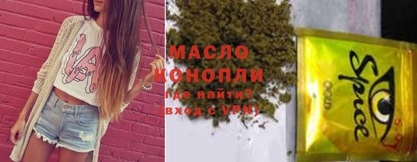 первитин Гусев